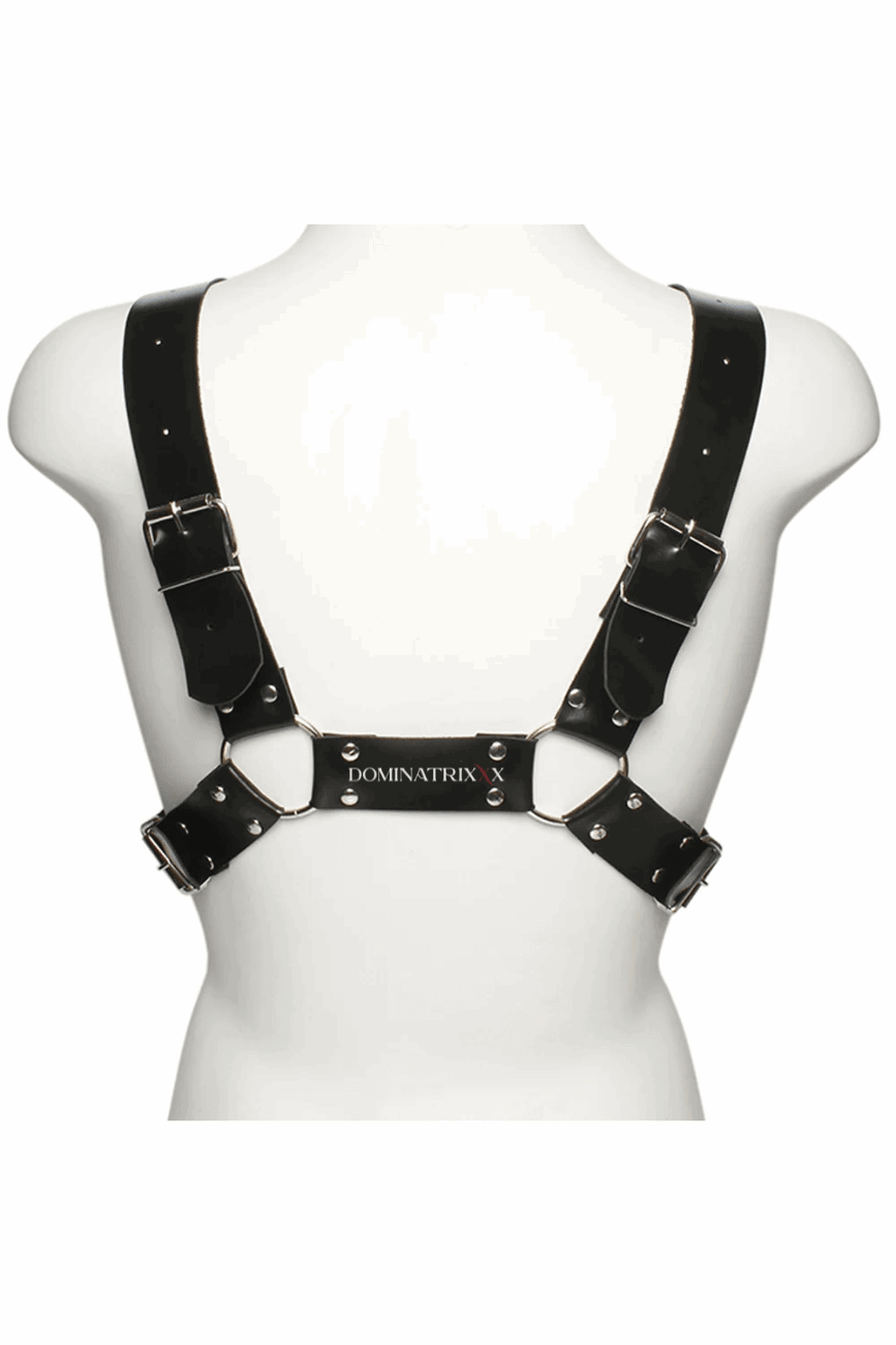 Arreio Masculino Harness Anteros - Dominatrixxx