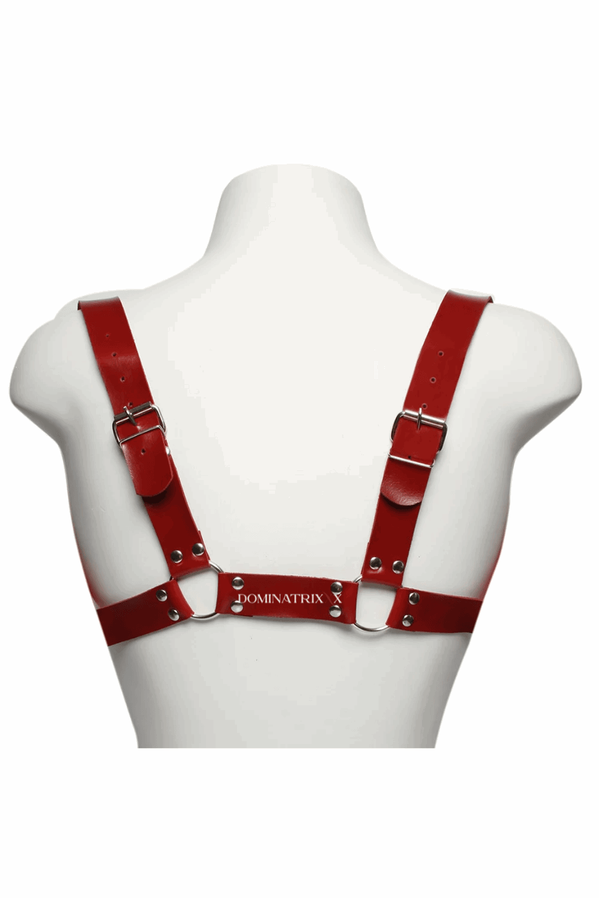 Arreio Masculino Harness Anteros - Dominatrixxx