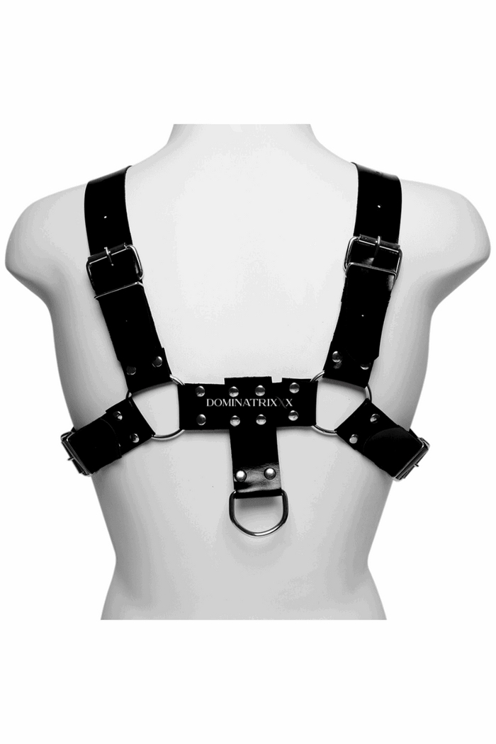 Arreio Masculino Harness Hércules - Dominatrixxx